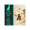 HH Pets Cepillos de dientes para perros de grande a