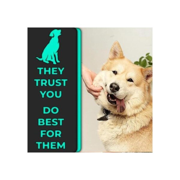 HH Pets Cepillos de dientes para perros de grande a
