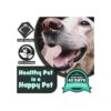 HH Pets Cepillos de dientes para perros de grande a