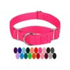 Country Brook Petz Martingale Collar para perro de nailon_1