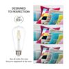 Simba Lighting LED Edison Vintage Filamento ST21 ST64