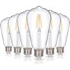 Simba Lighting LED Edison Vintage Filamento ST21 ST64