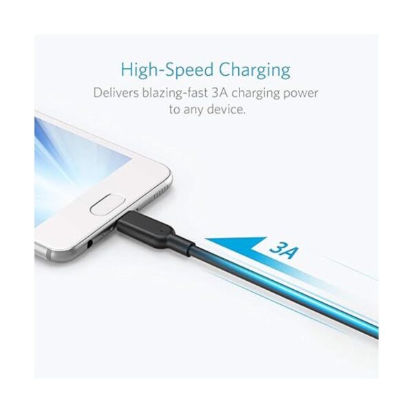 Anker Powerline II Cable USBC a USB 3.1 Gen2 3 pies