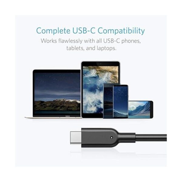 Anker Powerline II Cable USBC a USB 3.1 Gen2 3 pies