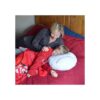 CatchStar Almohada de béisbol esponjosa de peluche con_2