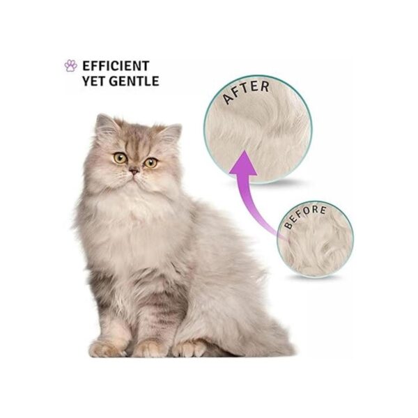 Poodle Pet Herramienta de cepillo para rastrillo de pelo