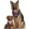 Pets First Ole Miss Bandana reversible para perros_5