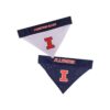Pets First Illinois Bandana reversible para perros_6
