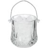 Lilys Home Cubo de hielo de vidrio con mango y pinzas SS
