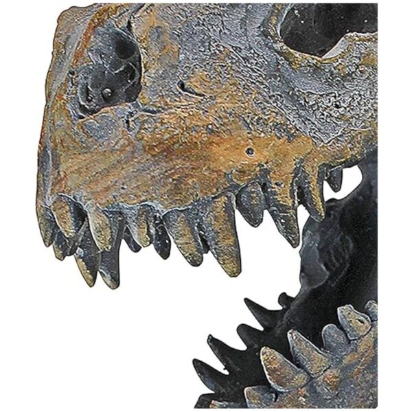 Design Toscano JQ9551 T. Rex Soporte de papel higiénico_4