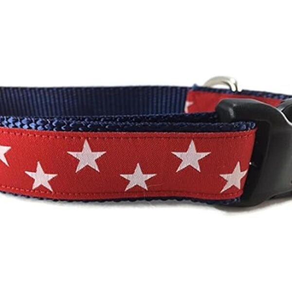 American perro collar caninedesign estrellas rojo_2