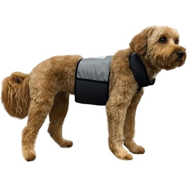 CoolerDog Chaleco de refrigeración para perros y collar_1