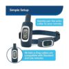 PetSafe Collar de entrenamiento remoto para perros_4