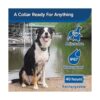 PetSafe Collar de entrenamiento remoto para perros_3