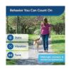 PetSafe Collar de entrenamiento remoto para perros_5