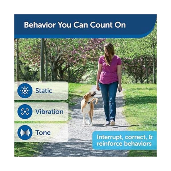 PetSafe Collar de entrenamiento remoto para perros_5