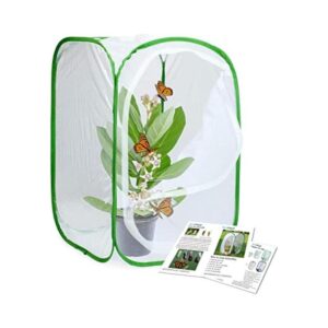 RESTCLOUD Jaula para insectos y mariposas tamaño pequeño_1