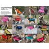 CoyoteVest Chaleco de protección con arnés para perro_2