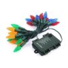RECESKY Bombillas C6 de Navidad con temporizador 50 luces