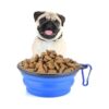 Cuencos plegables para perros perros y gatos cuencos de