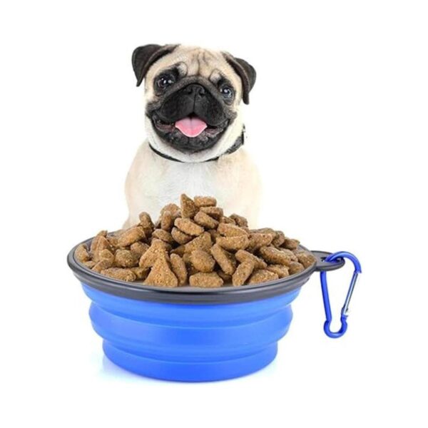 Cuencos plegables para perros perros y gatos cuencos de