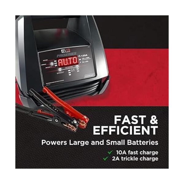 Schumacher DSR118 DSR ProSeries 125A 6V12V Cargador de_2