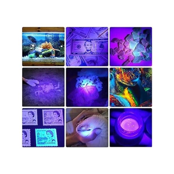 Linternas de luz negra USB recargable portátil 395nm_4