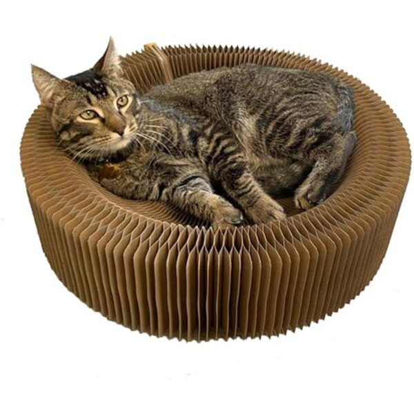 BobbyPet Cama de descanso rascador para gatos forma_1