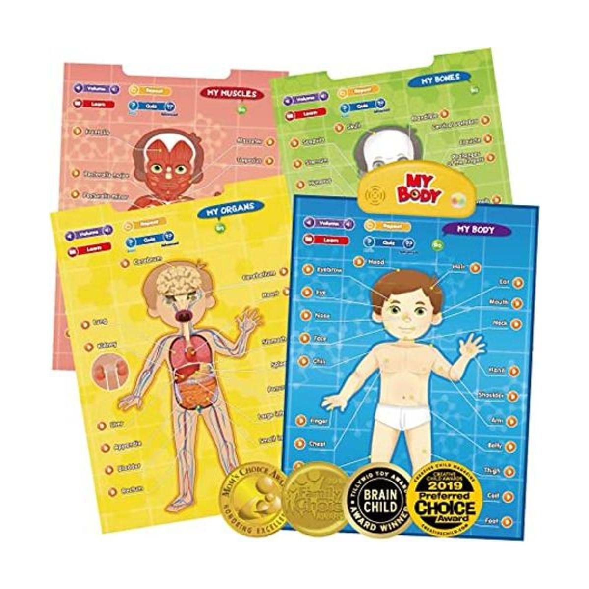 BEST LEARNING iPoster My Body Sistema educativo