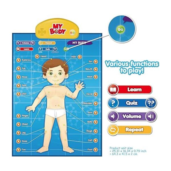 BEST LEARNING iPoster My Body Sistema educativo_2