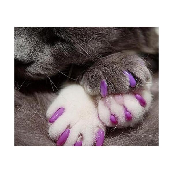 Kitty Caps Tapas de uñas para gatos Cubiertas de garra