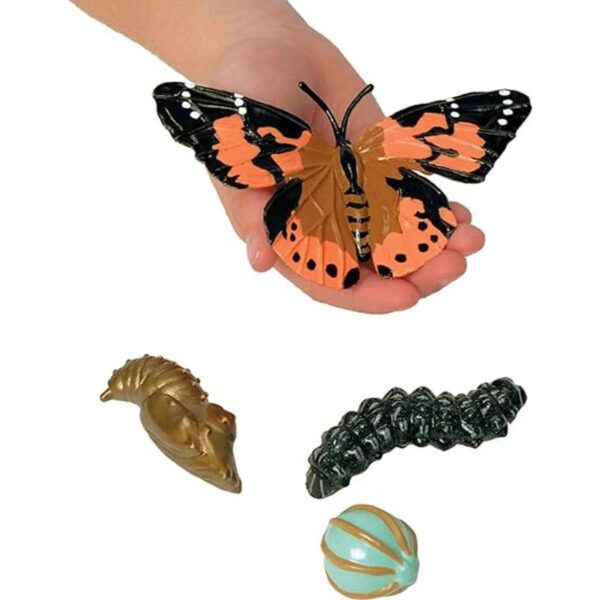 Insect Lore Life Cycle Figurines Juego de 24 piezas_4