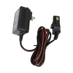 SafeAMP Cargador para ruedas de alimentación 12 V_1