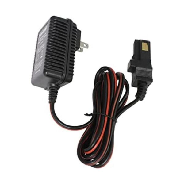 SafeAMP Cargador para ruedas de alimentación 12 V_1