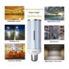 Bombilla LED de 80 W base grande Mogul E39 8000 lúmenes