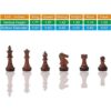 ColorGo Juego de ajedrez magnético de viaje mini juego de_3