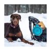 Messy Mutts Silicone Collapsible Bowl Pet Travel