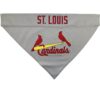 Pets First Pet Bandana LXL_3