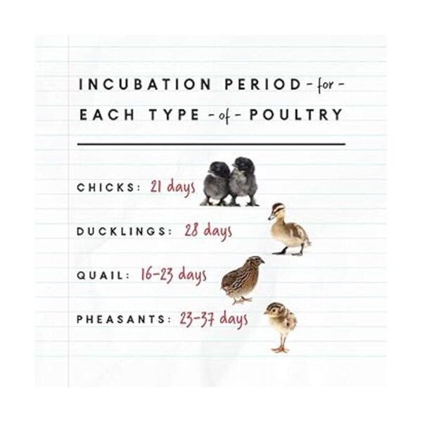 Manna Pro Harris Farms Nurture Right Incubadora_3