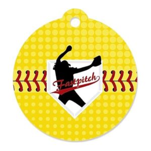 Grand Slam Fastpitch Softball fiesta de cumpleaños o_1