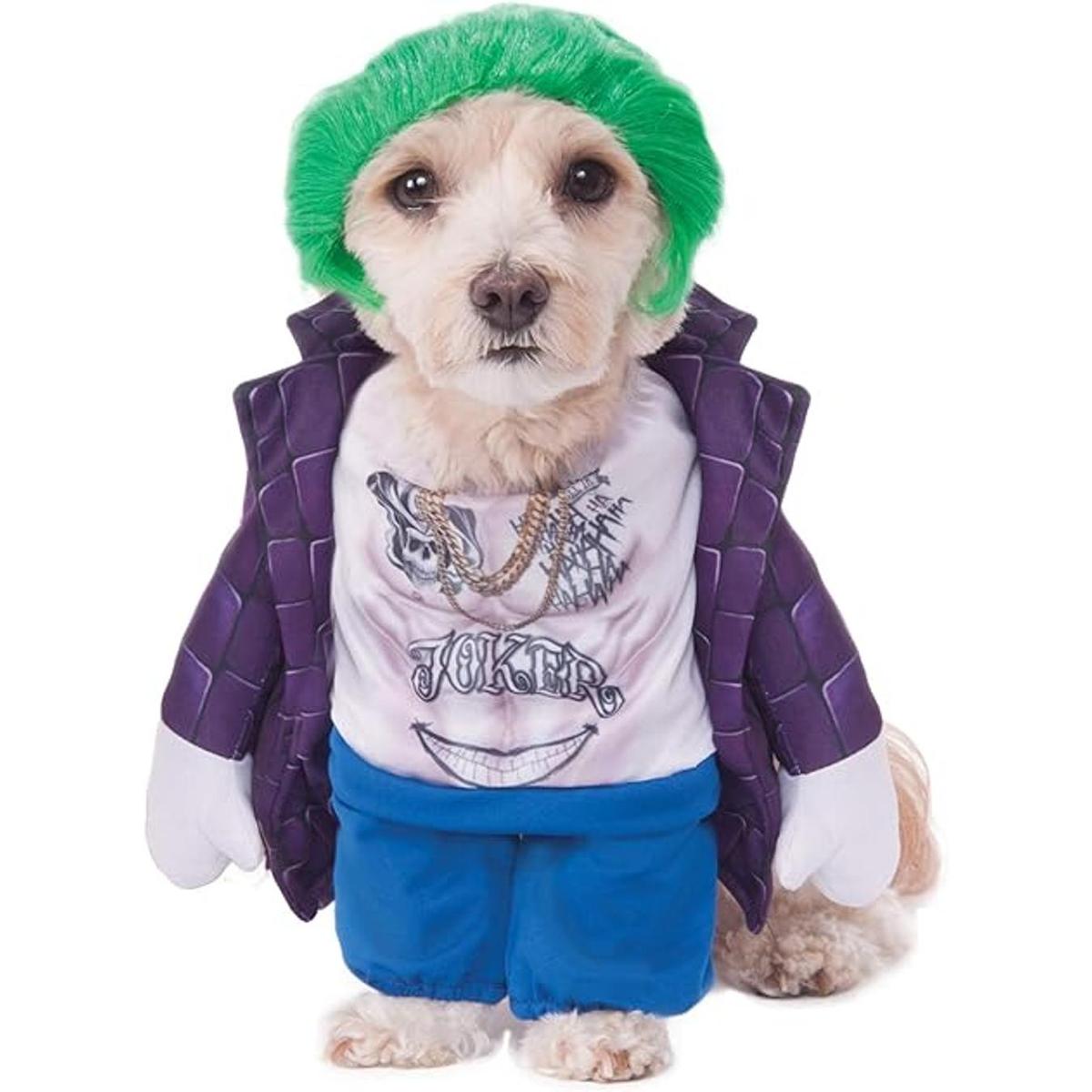Rubies The Joker Disfraz de mascota
