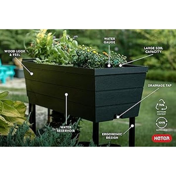 Keter Cama de jardín elevada_4