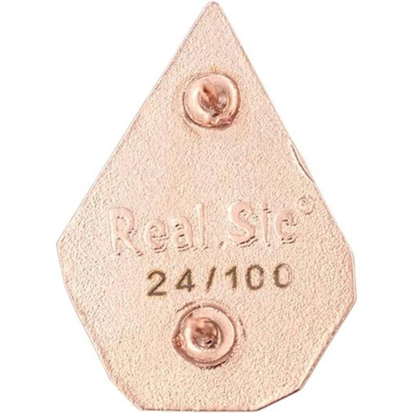 Pin de esmalte REAL SIC Cactus Lindo Cactus en Terrario_5