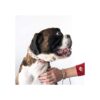 Pettsie collar de perro a juego y pulsera de amistad para_2
