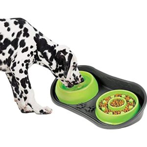 Bandeja antideslizante para mascotas con 2 cuencos lentos