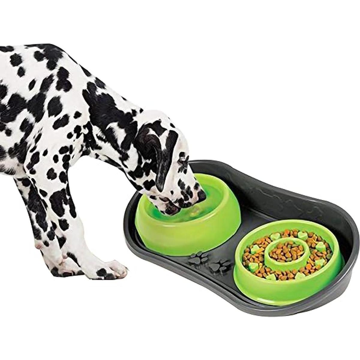 Bandeja antideslizante para mascotas con 2 cuencos lentos