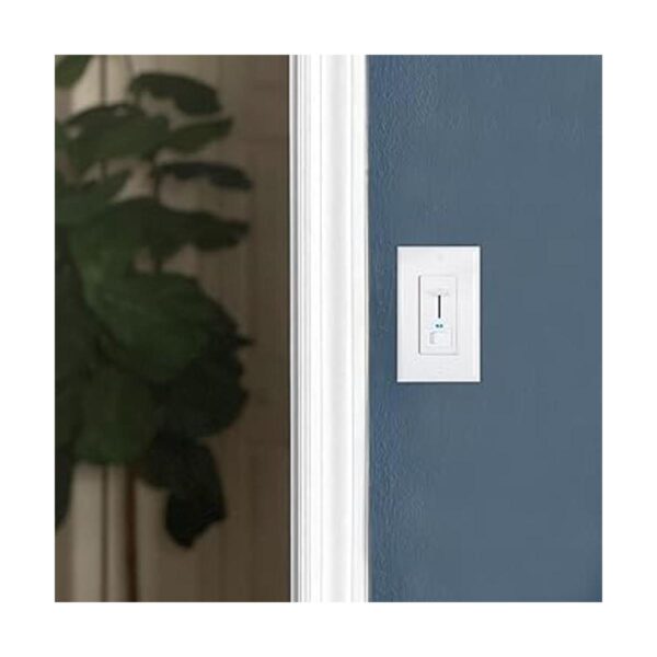 Maxxima Interruptor de luz eléctrica con regulador de