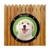 HB Luxuries Ventana acrílica duradera para perro para