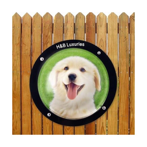 HB Luxuries Ventana acrílica duradera para perro para