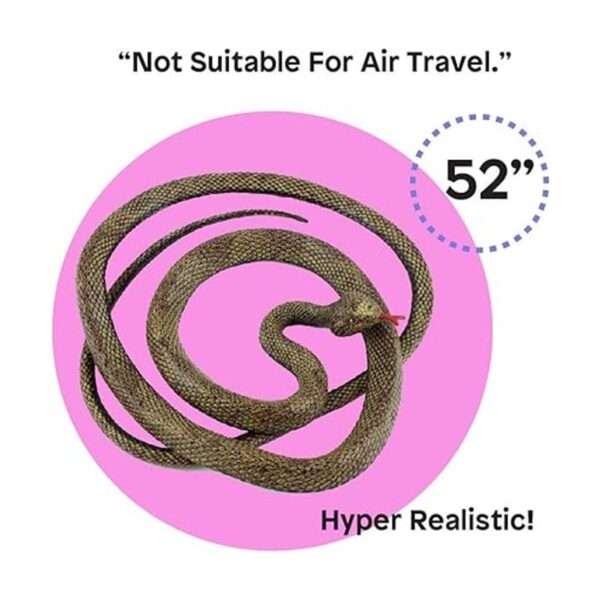Boley Jumbo Snakes Juego de 4 juguetes de serpiente falsa_3
